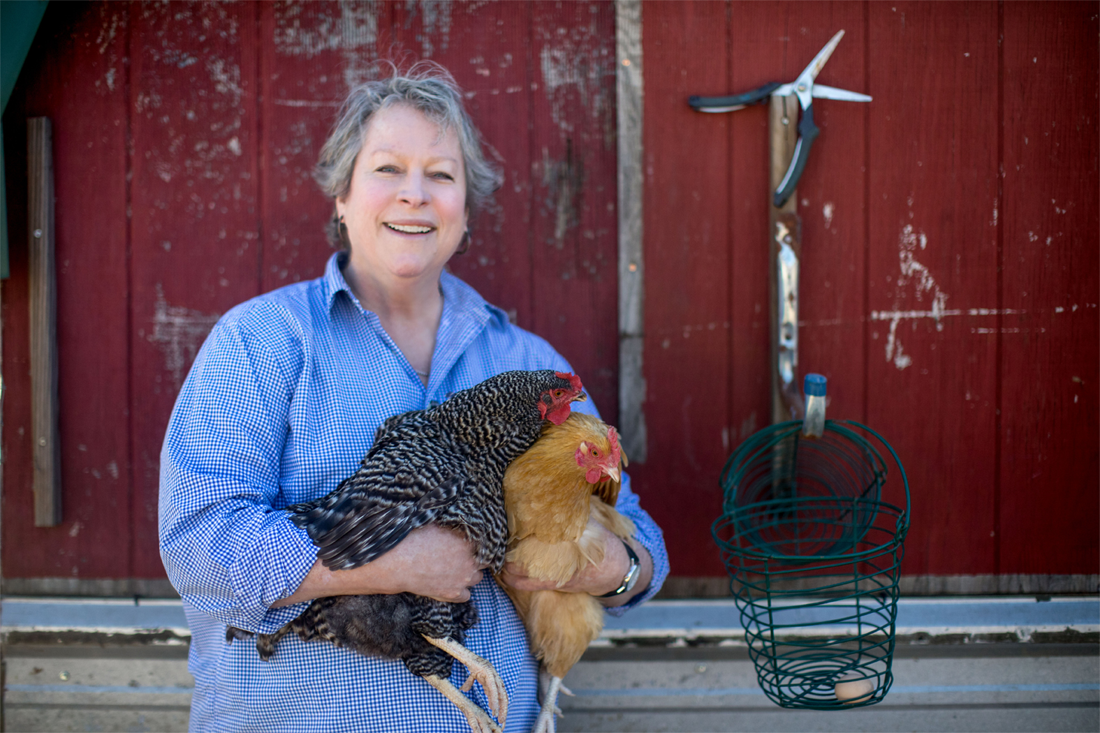 Final Joanne with Chickens Edited Website.jpg